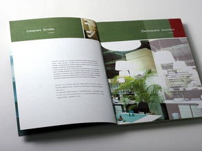 廣州專業(yè)畫冊設(shè)計與軟件開發(fā) 品牌建設(shè)的雙翼